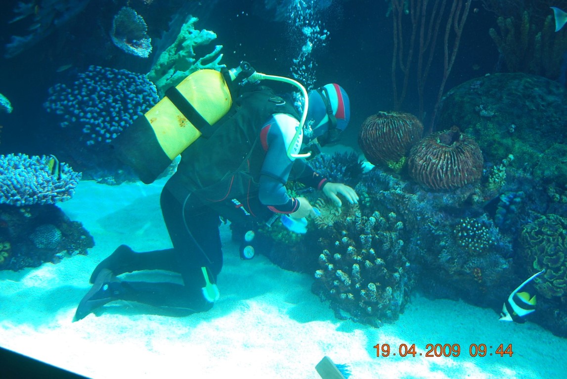 imagini hotel MARDAN PALACE